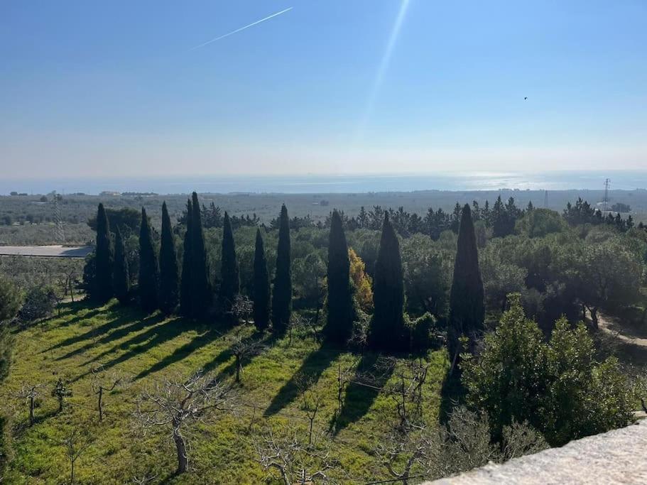 Casa Masseria Dell'800 Gargano. Le Mignole Monte SantʼAngelo المظهر الخارجي الصورة