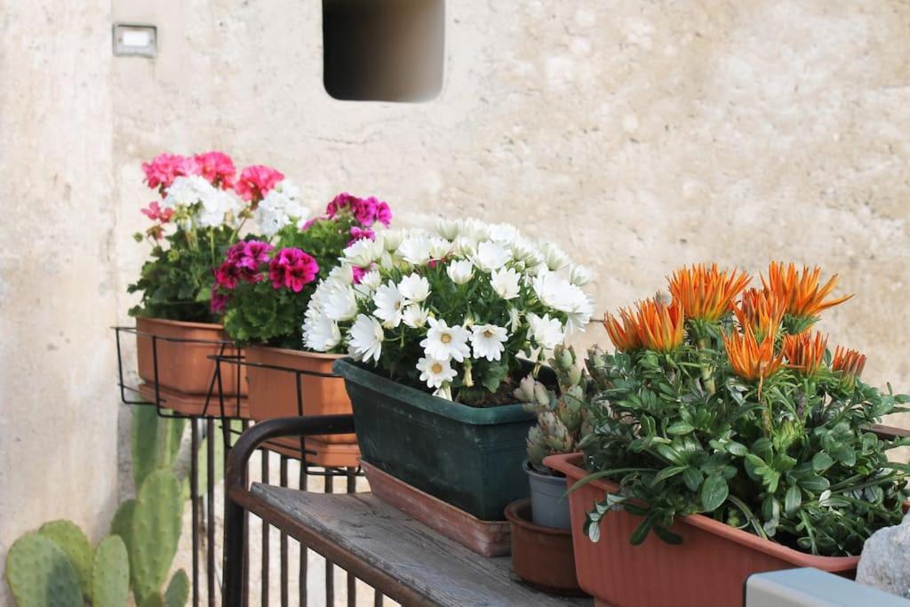 Casa Masseria Dell'800 Gargano. Le Mignole Monte SantʼAngelo المظهر الخارجي الصورة