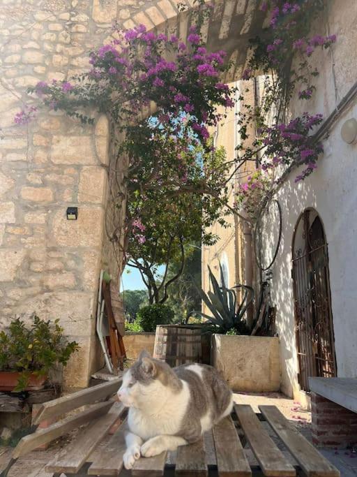 Casa Masseria Dell'800 Gargano. Le Mignole Monte SantʼAngelo المظهر الخارجي الصورة