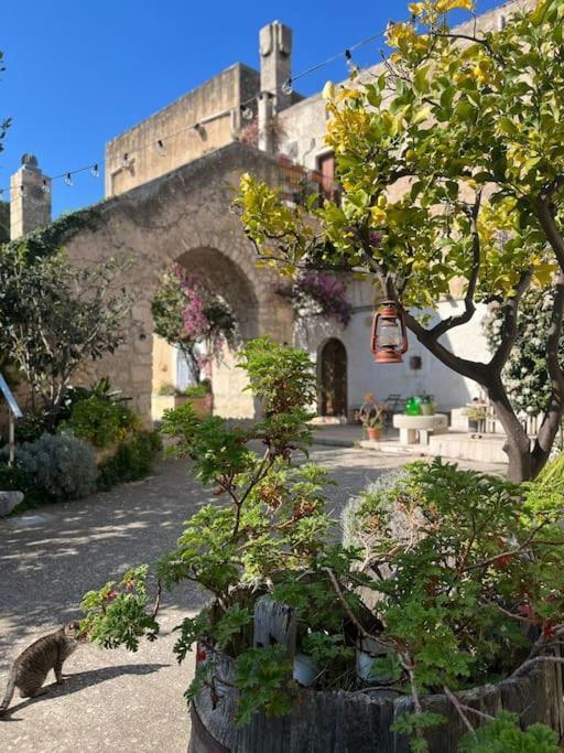 Casa Masseria Dell'800 Gargano. Le Mignole Monte SantʼAngelo المظهر الخارجي الصورة